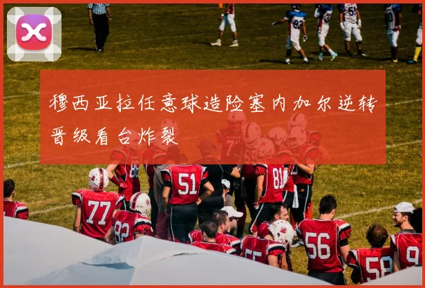 穆西亚拉任意球造险塞内加尔逆转晋级看台炸裂