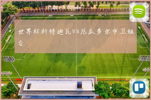 世界杯科特迪瓦vs厄瓜多尔中卫组合
