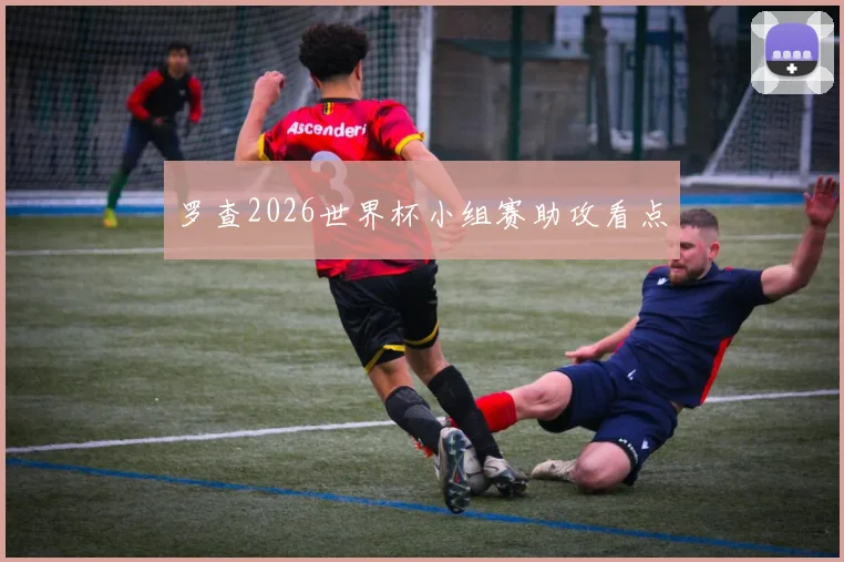 罗查2026世界杯小组赛助攻看点