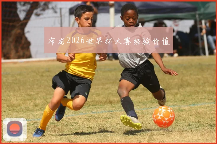 布龙2026世界杯大赛经验价值