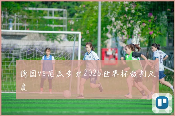 德国vs厄瓜多尔2026世界杯裁判尺度