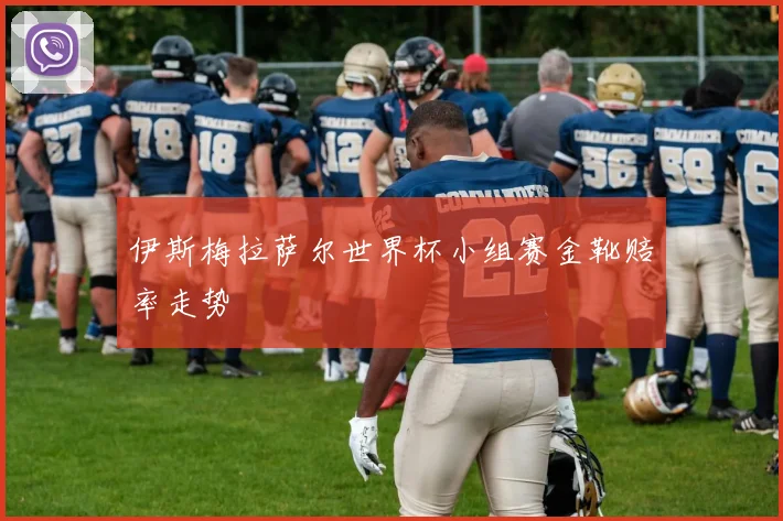 伊斯梅拉萨尔世界杯小组赛金靴赔率走势