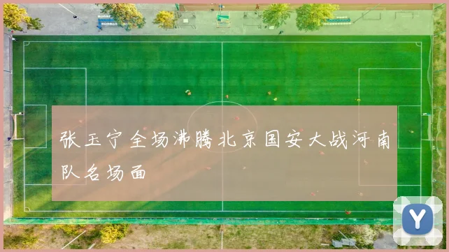 张玉宁全场沸腾北京国安大战河南队名场面