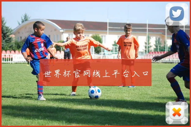 世界杯官网线上平台入口