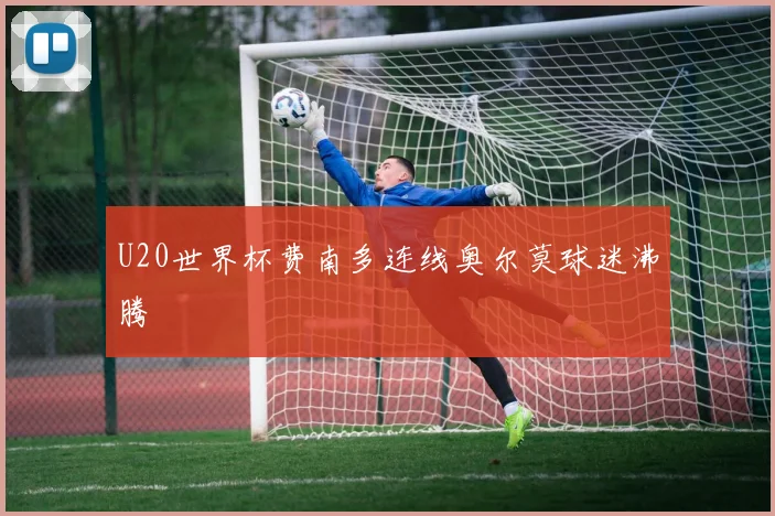 U20世界杯费南多连线奥尔莫球迷沸腾
