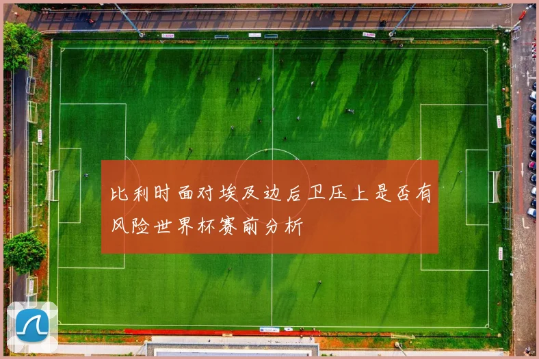 比利时面对埃及边后卫压上是否有风险世界杯赛前分析