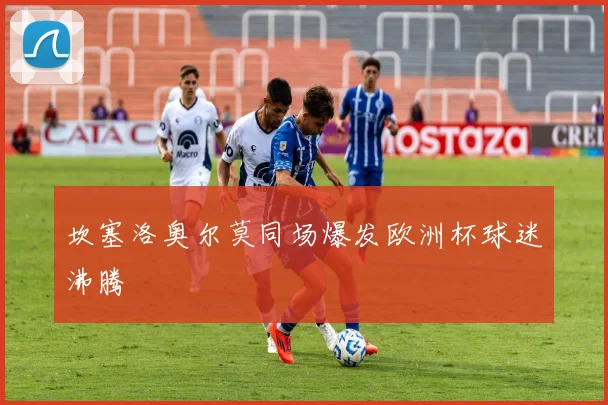 坎塞洛奥尔莫同场爆发欧洲杯球迷沸腾