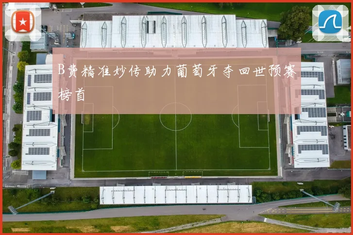 B费精准妙传助力葡萄牙夺回世预赛榜首