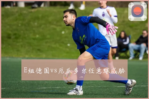 E组德国vs厄瓜多尔任意球威胁